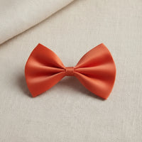 "Nœud Papillon Réglable pour Petit Chien et Chat".