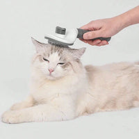 Brosse pour chien et chat