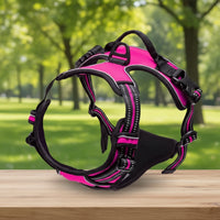 Harnais Anti-Traction pour Chien qui Tire en Laisse - Promenades Confortables