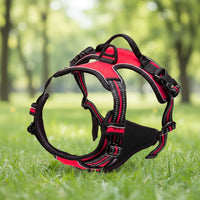 Harnais Anti-Traction pour Chien qui Tire en Laisse - Promenades Confortables