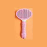 Brosse pour chien et chat