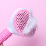 Brosse pour chien et chat
