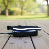 Laisse lumineuse blanche