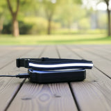 Laisse lumineuse blanche