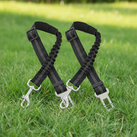 "Ceinture de sécurité pour chien - pack de 2 pièces"