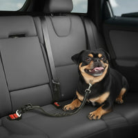 "Ceinture de sécurité élastique pour chien avec mousqueton robuste"