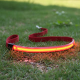 Laisse lumineuse rouge