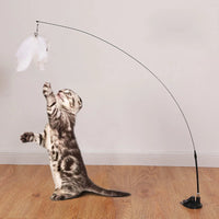Bâton flexible à plume pour chat(chaton)