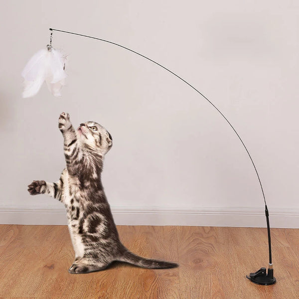 Bâton flexible à plume pour chat(chaton)