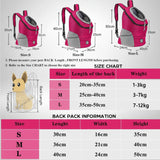 Sac à Dos pour Chien à Randonnée