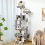 Arbre à chat en peluche à plusieurs niveaux