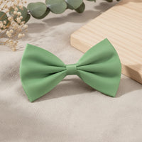 "Nœud Papillon Réglable pour Petit Chien et Chat".