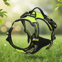 Harnais Anti-Traction pour Chien qui Tire en Laisse - Promenades Confortables