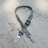 "Ceinture de sécurité pour chien couleur gris"