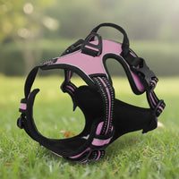 Harnais Anti-Traction pour Chien qui Tire en Laisse - Promenades Confortables