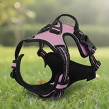 Harnais Anti-Traction pour Chien qui Tire en Laisse - Promenades Confortables