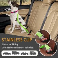 "Chien confortablement attaché dans une voiture avec ceinture élastique"