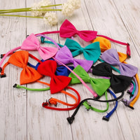 "Nœud Papillon Réglable pour Petit Chien et Chat".