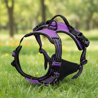 Harnais Anti-Traction pour Chien qui Tire en Laisse - Promenades Confortables