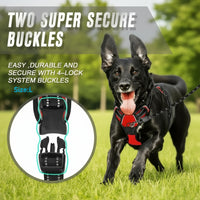 Harnais Anti-Traction pour Chien qui Tire en Laisse - Promenades Confortables