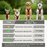 Harnais Anti-Traction pour Chien qui Tire en Laisse - Promenades Confortables