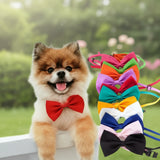 "Nœud Papillon Réglable pour Petit Chien et Chat".