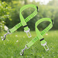 "Matériaux durables et résistants de la ceinture pour chien"