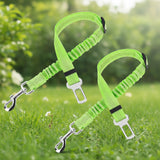 "Matériaux durables et résistants de la ceinture pour chien"