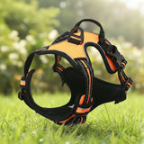 Harnais Anti-Traction pour Chien qui Tire en Laisse - Promenades Confortables
