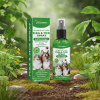 Spray Anti-Acariens Puissant et Naturel – Stop Démangeaisons & Puces pour Chiens et Chats