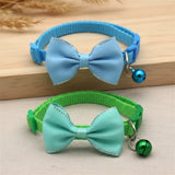 Collier Nœud Papillon Chat avec Clochette - Élégant et Réglable pour Chaton et Chat Adulte