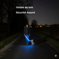 Laisse Lumineuse Rechargeable - Votre Chien Visible et Protégé la Nuit