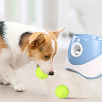 Lanceur de balles automatique pour chien