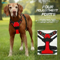 Harnais Anti-Traction pour Chien qui Tire en Laisse - Promenades Confortables