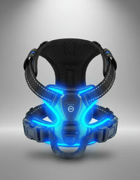 Harnais LED rechargeable pour chien illuminé en bleu pour promenades nocturnes sécurisées
