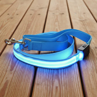 Laisse lumineuse bleu