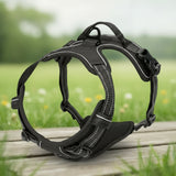 Harnais Anti-Traction pour Chien qui Tire en Laisse - Promenades Confortables