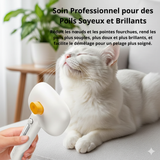 Brosse Vapeur 3-en-1 pour Chiens et Chats – Élimine 90% des Poils Morts, Hydrate et Démêle le Pelage