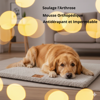 Lit orthopédique gris en mousse 3D avec housse fausse fourrure pour grand chien souffrant d'arthrose