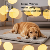 Lit orthopédique gris en mousse 3D avec housse fausse fourrure pour grand chien souffrant d'arthrose"
