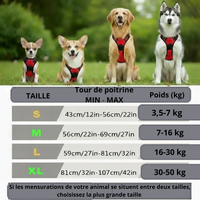 Harnais Anti-Traction pour Chien qui Tire en Laisse - Promenades Confortables
