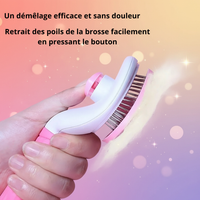 Brosse Démêlante pour Chien et Chat qui Perdent leurs Poils - Anti-Mue