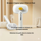 Brosse Vapeur 3-en-1 pour Chiens et Chats – Élimine 90% des Poils Morts, Hydrate et Démêle le Pelage