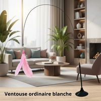 Bâton à Plume  pour Chat - Jouet Stimulant pour Chaton et Chat Adulte