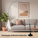 Bâton à Plume  pour Chat - Jouet Stimulant pour Chaton et Chat Adulte