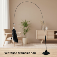 Bâton à Plume  pour Chat - Jouet Stimulant pour Chaton et Chat Adulte