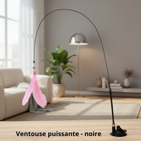 Bâton à Plume  pour Chat - Jouet Stimulant pour Chaton et Chat Adulte