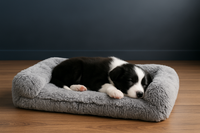 Chiot dormant paisiblement dans son lit en peluche anti-anxiété