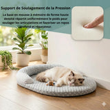 Lit ergonomique à mémoire de forme pour chat offrant un support de soulagement de la pression, illustré par un gros plan sur l'empreinte d'un doigt dans la mousse dense et un chat qui dort.