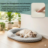 Lit ergonomique à mémoire de forme pour chat offrant un support de soulagement de la pression, illustré par un gros plan sur l'empreinte d'un doigt dans la mousse dense et un chat qui dort.